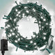 Cool White - 100LED