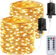 Warm White - 2 Pack(400LED With Remote)
