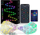 32.8FT- 100LED