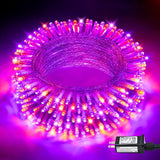 JMEXSUSS LED String Lights – UL588 Certified 30V Low Voltage Fairy Lights, Safe Around Kids, Pets, and Curtains