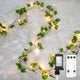 100 LED-Plug-in Clear Wire - Pothos