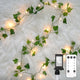 100 LED-Plug-in Clear Wire - IVY