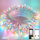 100LED - Multi-colored Connectable