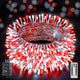 Red and White - 800LED