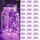 Purple - 30 Pack