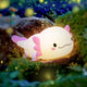 Pink Axolotl