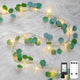 100 LED-Plug-in Clear Wire - Eucalyptus