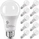 Daylight White - 10 Pack
