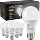 Daylight White - 6 Pack