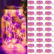 Orange & Purple - 30 Pack