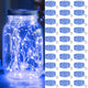 Blue - 30 Pack
