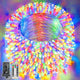 Multicolord - 1000 LEDs