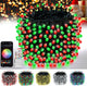 APP RGB - 1Pack 300LED APP with Remote