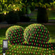 Red Green - 12ft*5ft