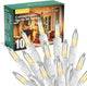 Clear Warm White-White Wire - 100 Count-33 ft
