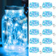Blue & White - 12 Pack