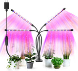 SANSI Grow Light – Desktop Plant Companion for Home Office Focus and Steady Workday Ambiance