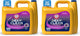 Radiant Burst - 150 Fl Oz (Pack of 2)