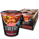 Teriyaki Beef - 3 Ounce (Pack of 6)