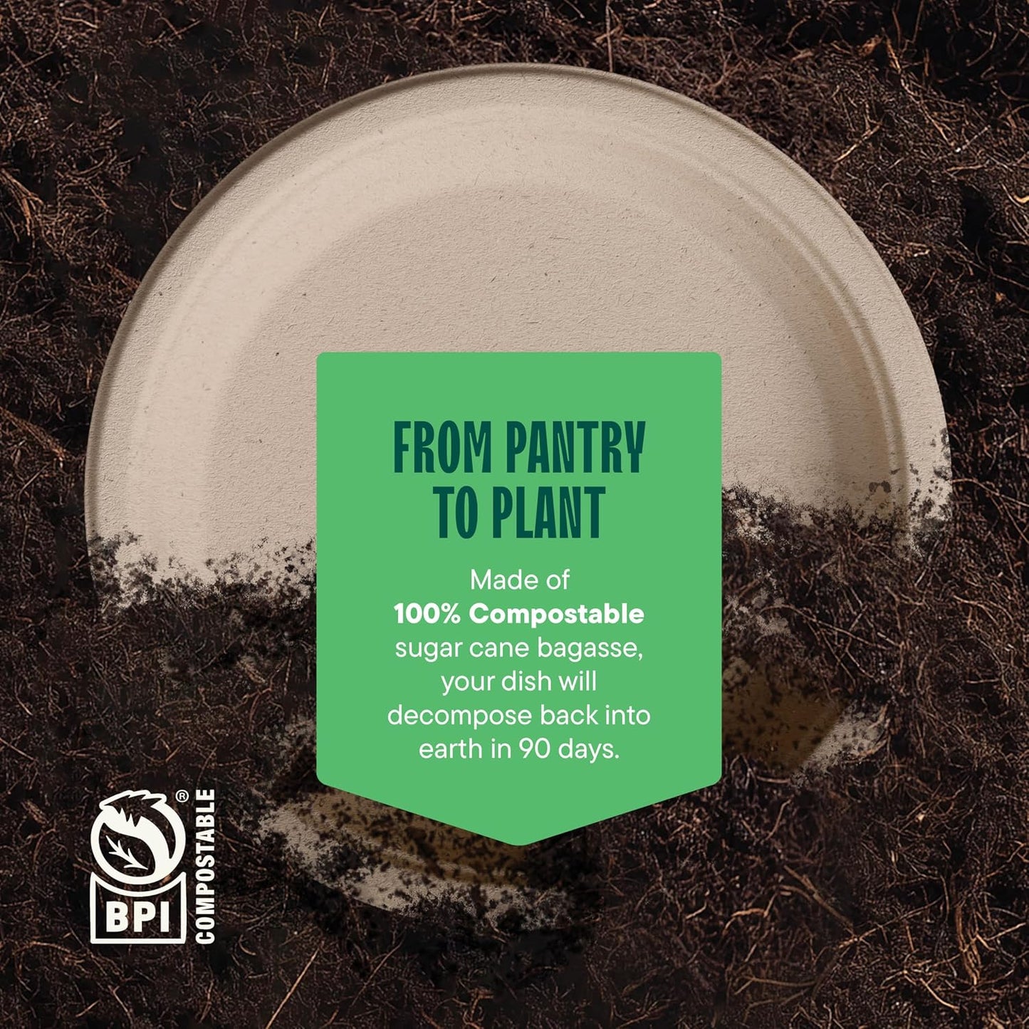 three available formats: 9" plates, 9" 3-compartment, 9" deep dish