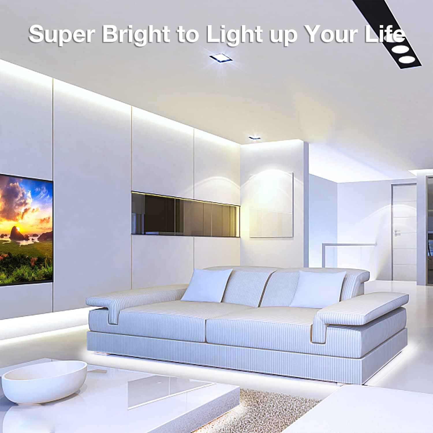 DAYBETTER COB LED Tape Light – Eye-Strain Reducing Monitor Backlight for Remote Workers, 24V 16.4 ft
