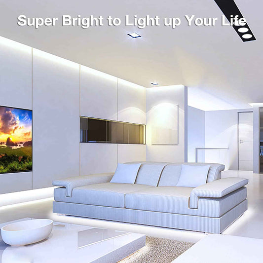 DAYBETTER COB LED Tape Light – Eye-Strain Reducing Monitor Backlight for Remote Workers, 24V 16.4 ft
