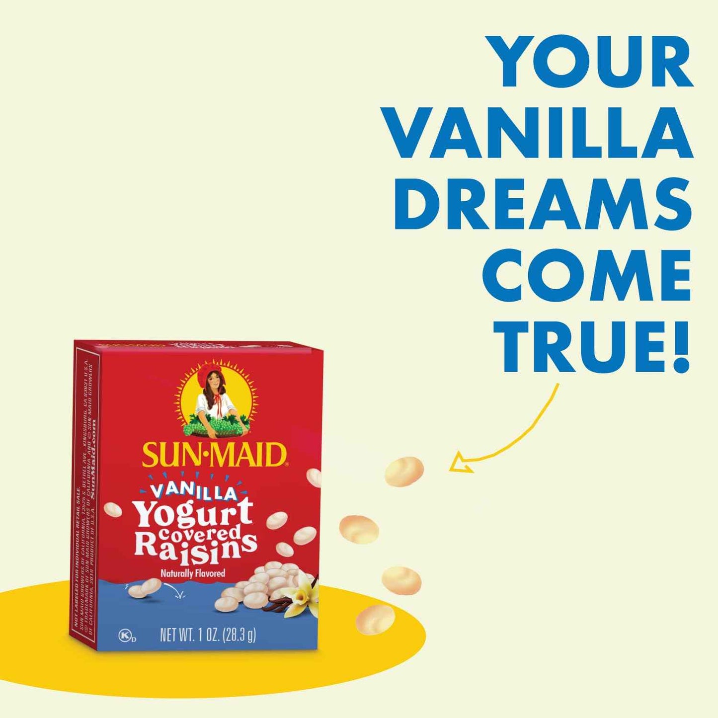 Sun-Maid Vanilla Yogurt Raisins – Desk Drawer Office Snack, 6 Single-Serve 1 oz Pouches for Work