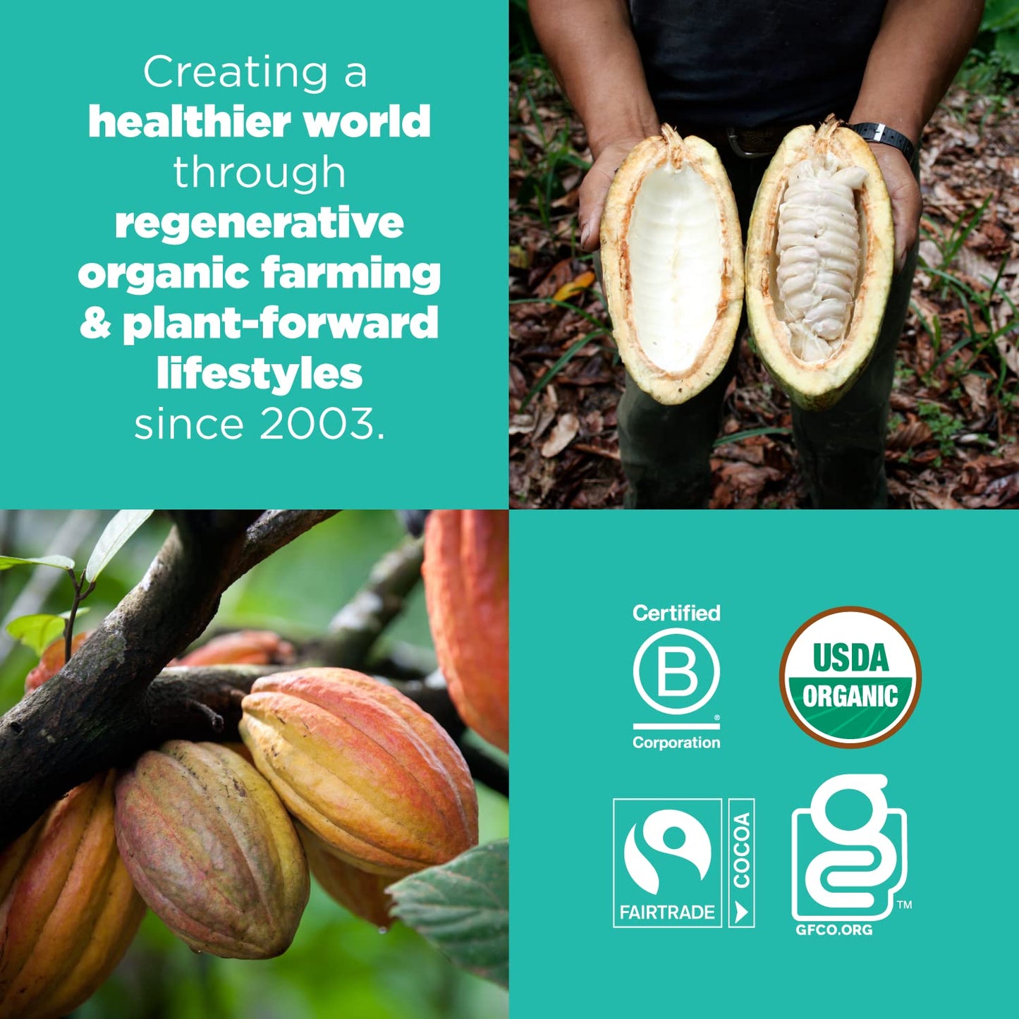 three flavor variants in the product line: cacao goji, blueberry hemp, and chocolate cacao