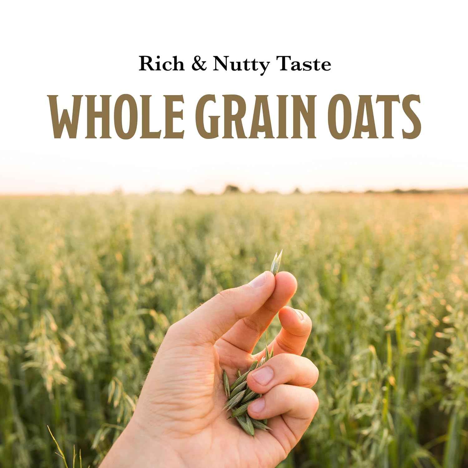 McCann's Instant Irish Oatmeal — Office Desk Breakfast Packets, 3-Minute Hot Water Prep