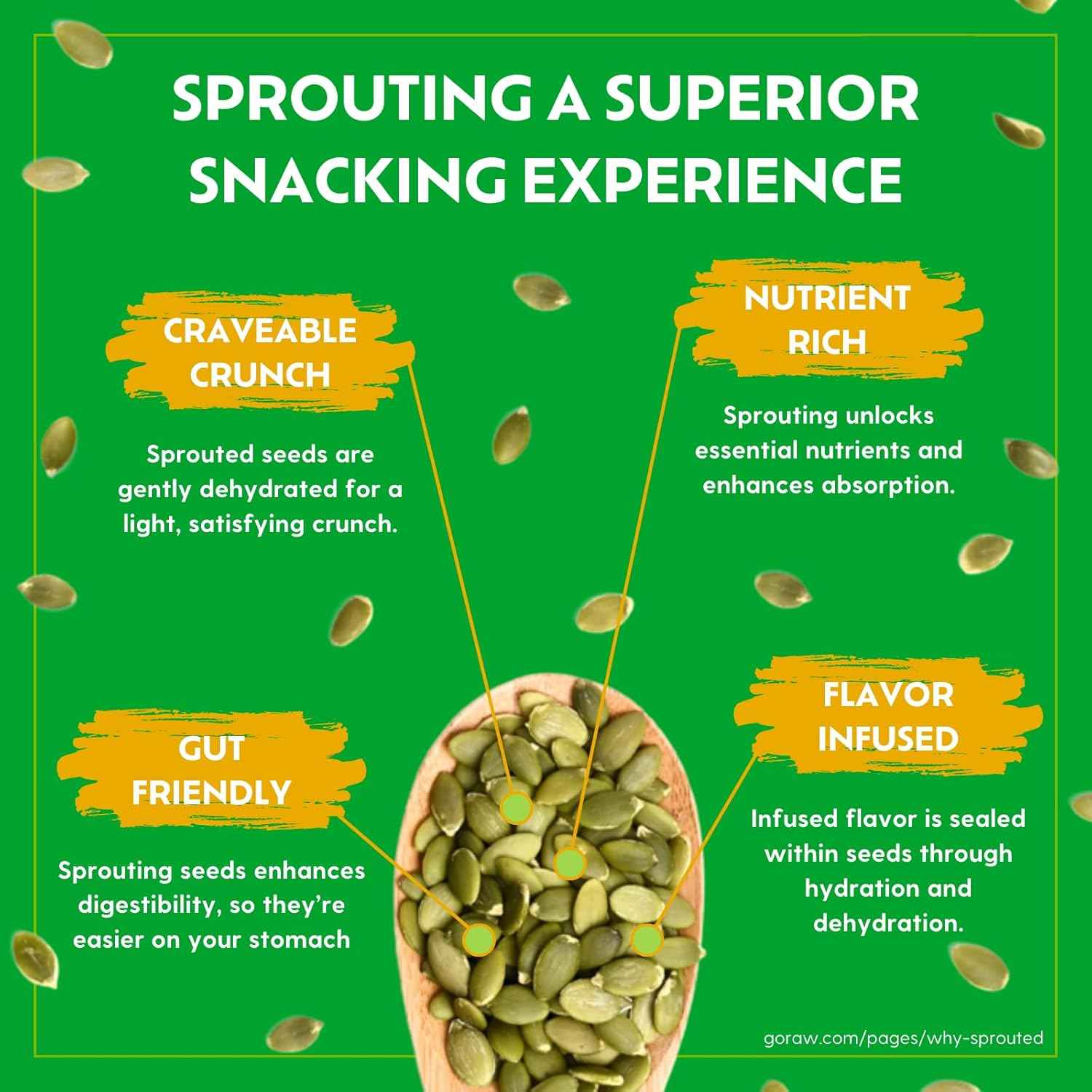 Go Raw Organic Sprouted Pumpkin & Sunflower Seeds – Lightweight Trail Mix Base for Hiking