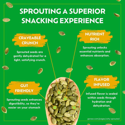 Go Raw Organic Sprouted Pumpkin & Sunflower Seeds – Lightweight Trail Mix Base for Hiking