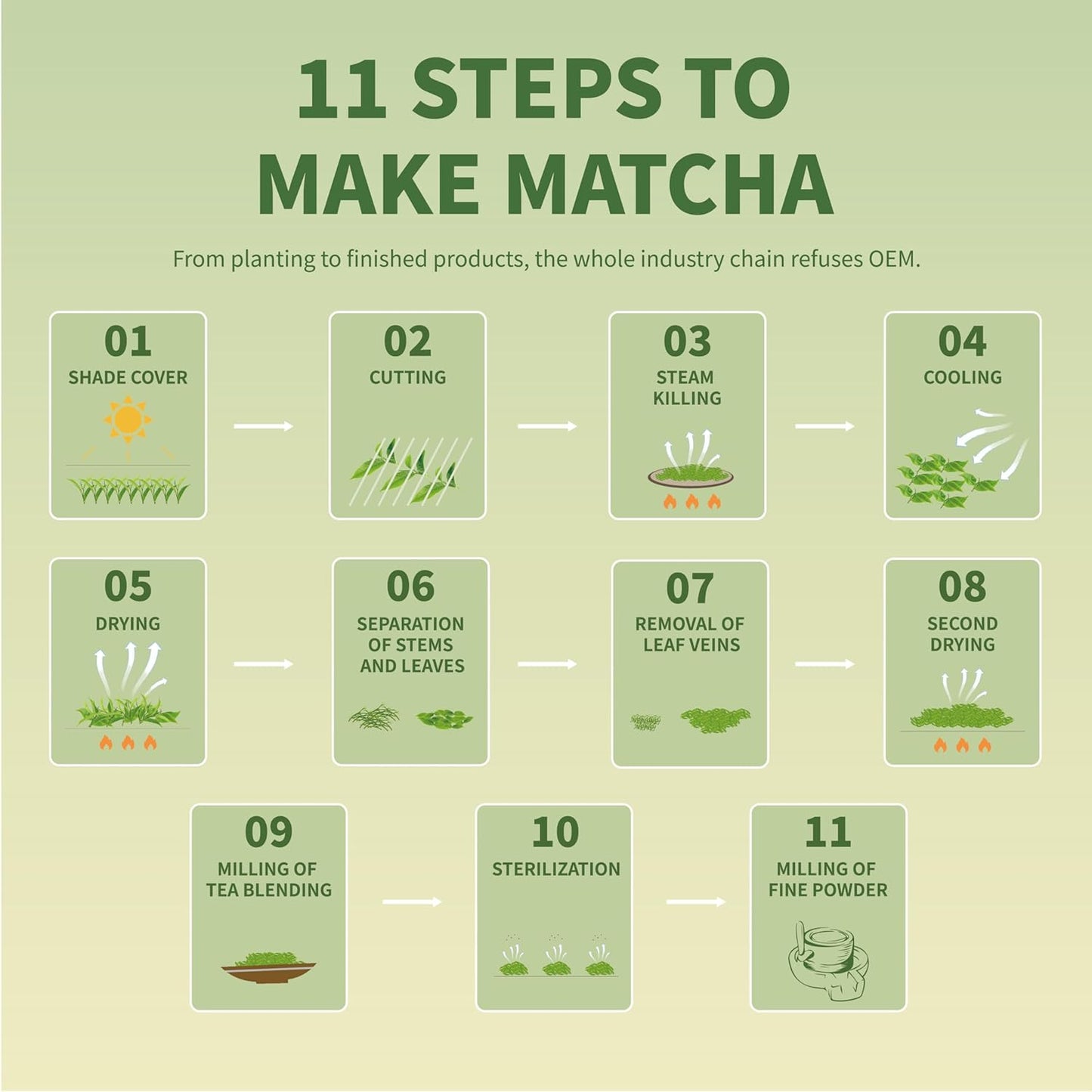 TIAN HU SHAN Matcha Green Tea Powder – Clean-Label Pantry Essential for Minimalist Kitchens, One Pure Ingredient