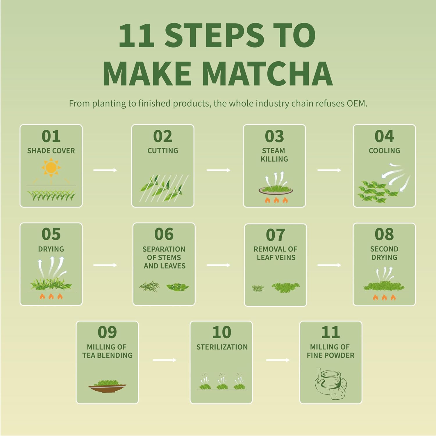 TIAN HU SHAN Matcha Green Tea Powder – Clean-Label Pantry Essential for Minimalist Kitchens, One Pure Ingredient