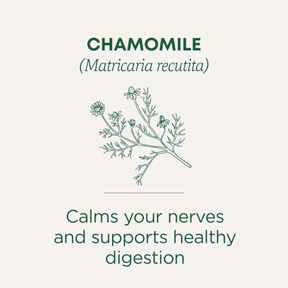 Traditional Medicinals Organic Chamomile Tea – Thoughtful Self-Care Gift for Her, Relaxing Herbal Tea for Birthdays and Holidays, 16 Bags