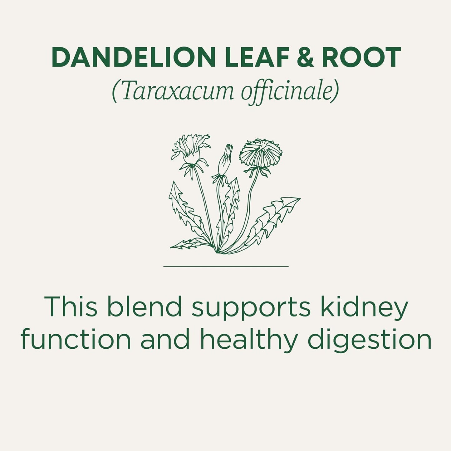 Traditional Medicinals Organic Dandelion Leaf & Root – Clean-Label Herbal Tea for the Intentional Kitchen
