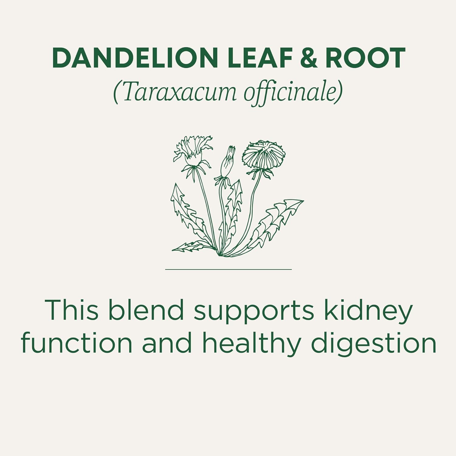 Traditional Medicinals Organic Dandelion Leaf & Root – Clean-Label Herbal Tea for the Intentional Kitchen