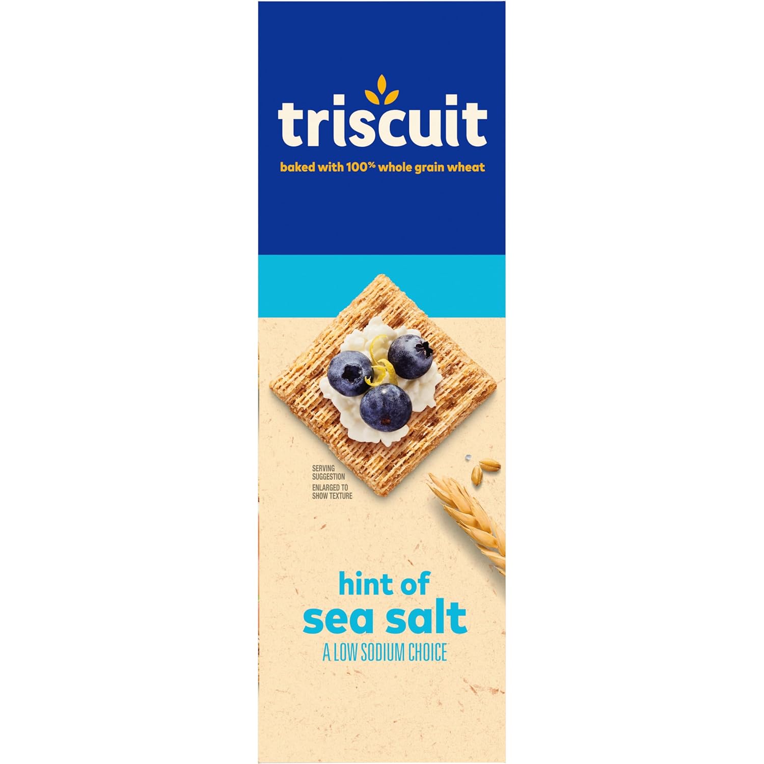 Triscuit Hint of Sea Salt Whole Grain Crackers – Portable Whole Wheat Cracker for Picnic and Patio Spreads