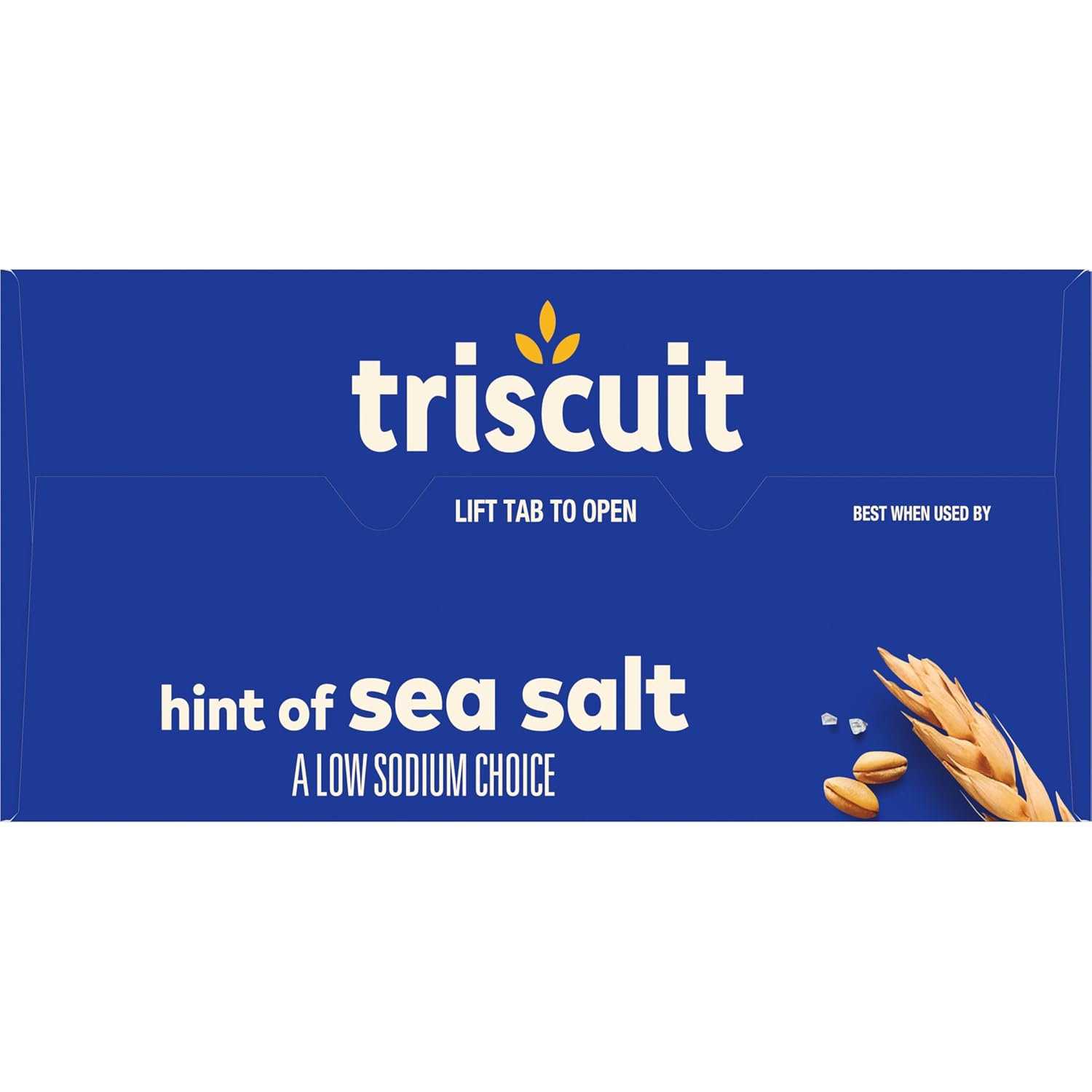 Triscuit Hint of Sea Salt Whole Grain Crackers – Portable Whole Wheat Cracker for Picnic and Patio Spreads