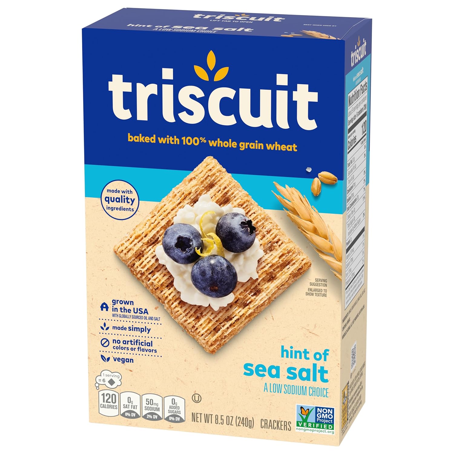 Triscuit Hint of Sea Salt Whole Grain Crackers – Portable Whole Wheat Cracker for Picnic and Patio Spreads