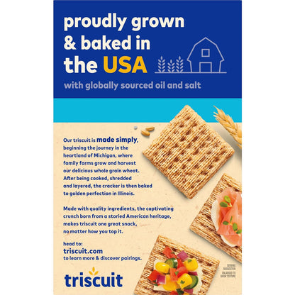 Triscuit Hint of Sea Salt Whole Grain Crackers – Portable Whole Wheat Cracker for Picnic and Patio Spreads