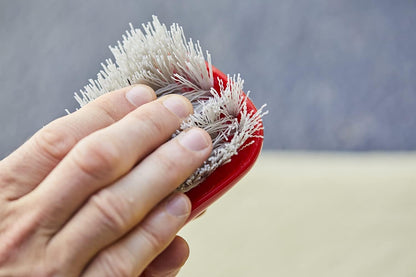 two available variants: carpet brush and leather brush for specialized cleaning tasks