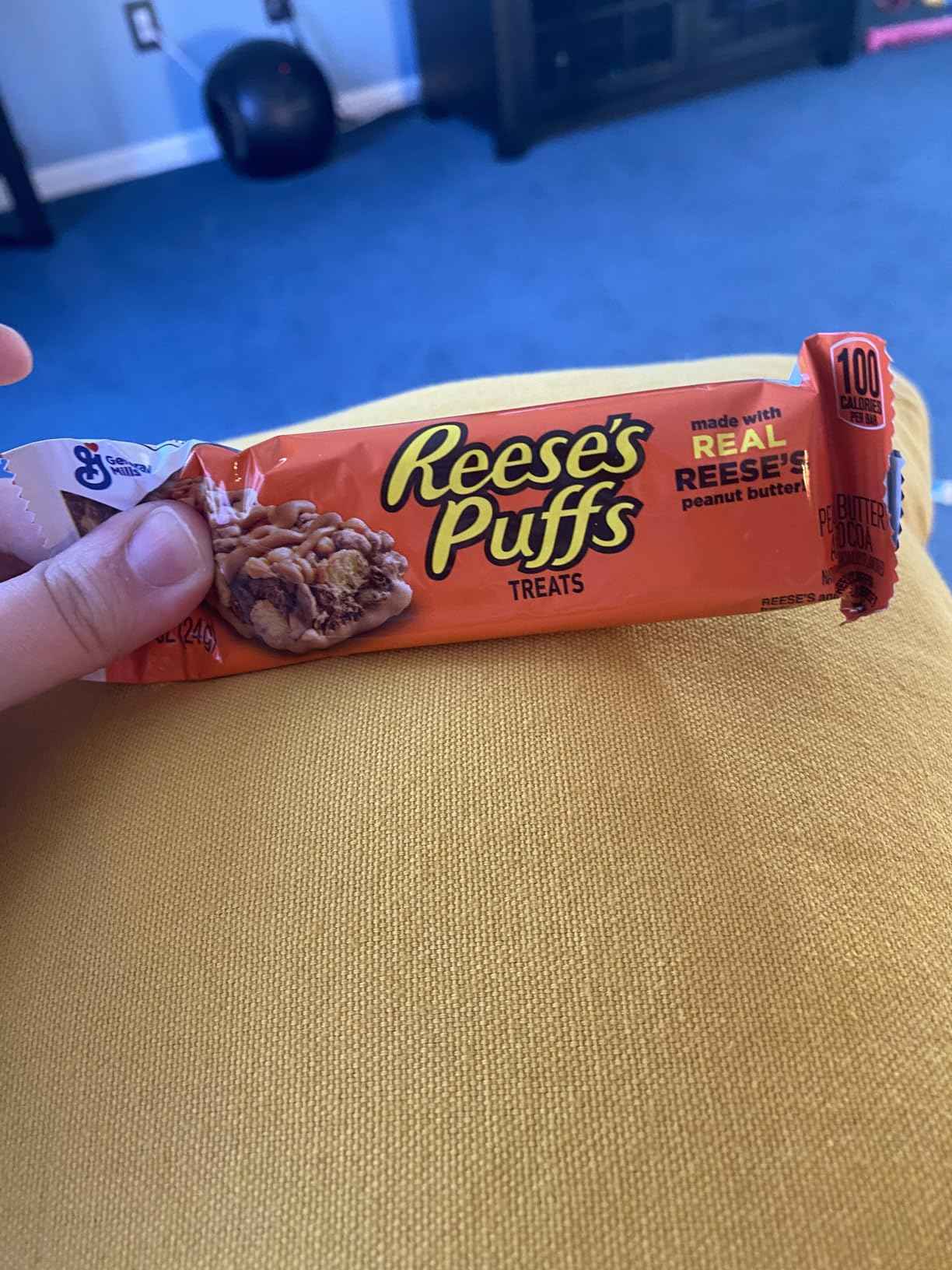 Reese's Puffs Cinnamon Toast Crunch Snack Bars – Care Package Gift for Students and Teachers, 28 ct