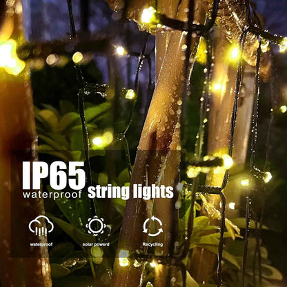 Lumify 2-Pack 200LED Solar Lights – Thoughtful Housewarming Gift for New Homeowners