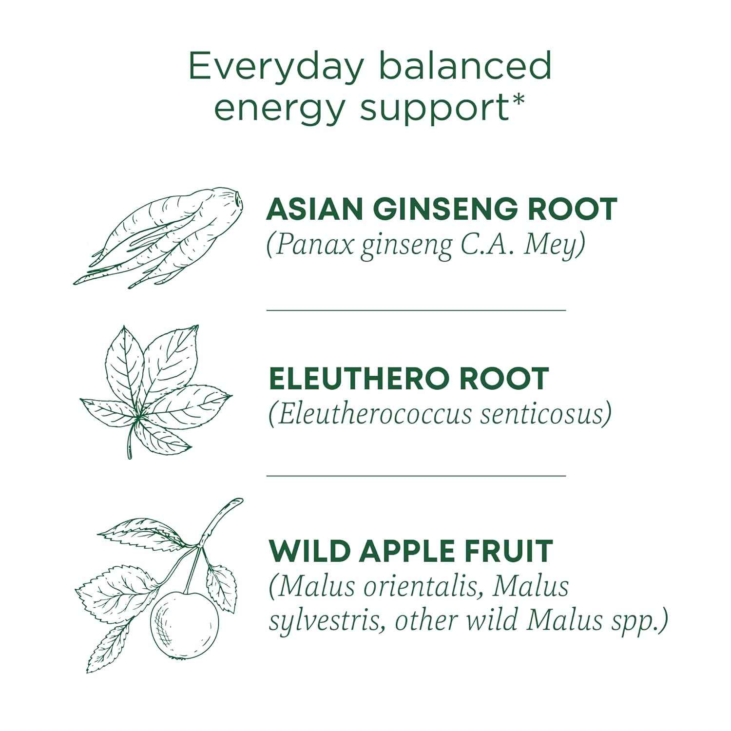 Traditional Medicinals Stress Ease Focus Tea – Thoughtful Wellness Gift for Stressed Friends and Coworkers, 16 Bags