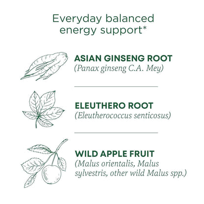 Traditional Medicinals Stress Ease Focus Tea – Thoughtful Wellness Gift for Stressed Friends and Coworkers, 16 Bags