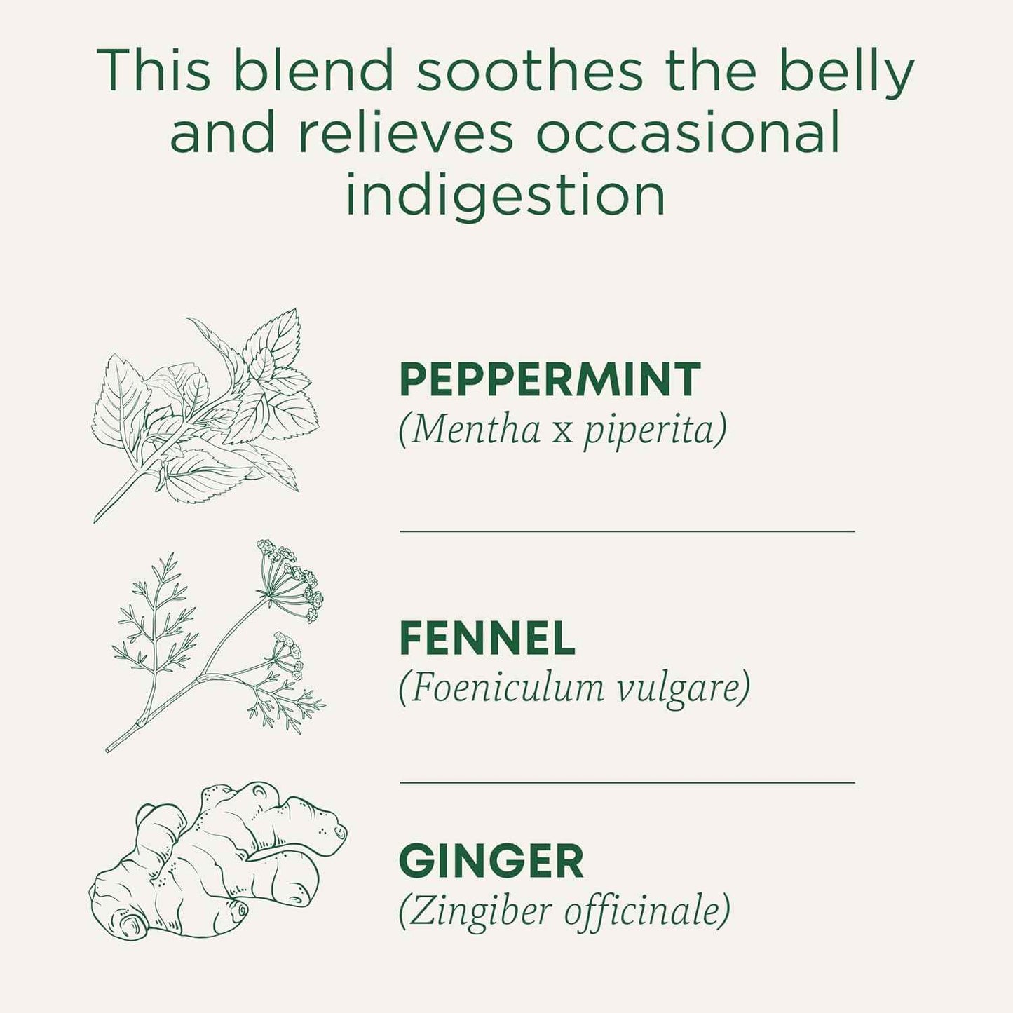 Traditional Medicinals Organic Belly Comfort Peppermint Tea – Clean-Label Pantry Staple for Intentional Kitchens
