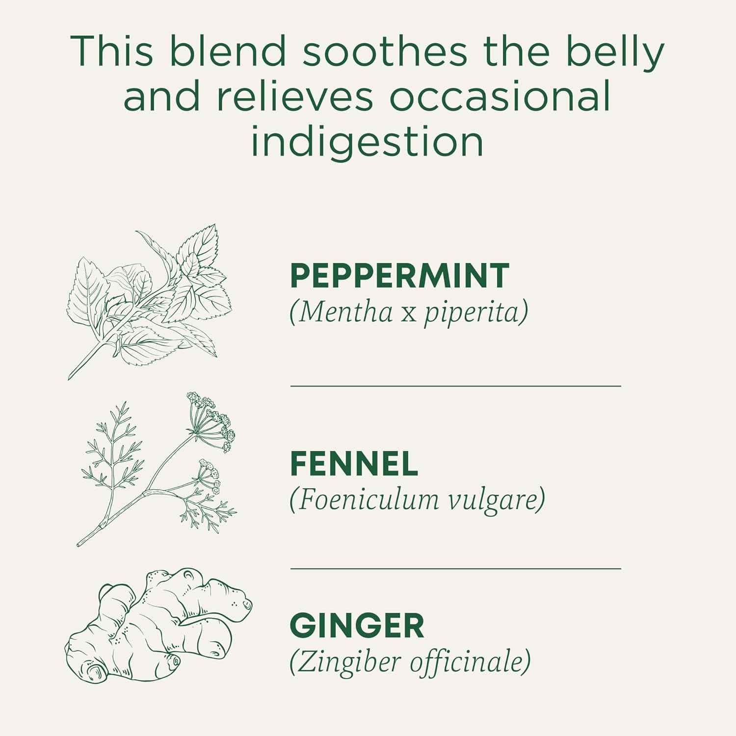 Traditional Medicinals Organic Belly Comfort Peppermint Tea – Clean-Label Pantry Staple for Intentional Kitchens