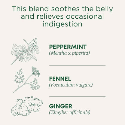 Traditional Medicinals Organic Belly Comfort Peppermint Tea – Clean-Label Pantry Staple for Intentional Kitchens