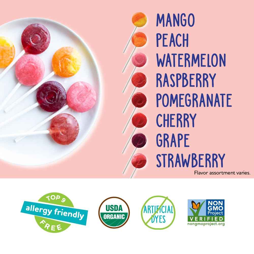 YumEarth Organic Lollipops - Nut Free Lunchbox Surprise Snack for Children, Assorted Fruit Flavors