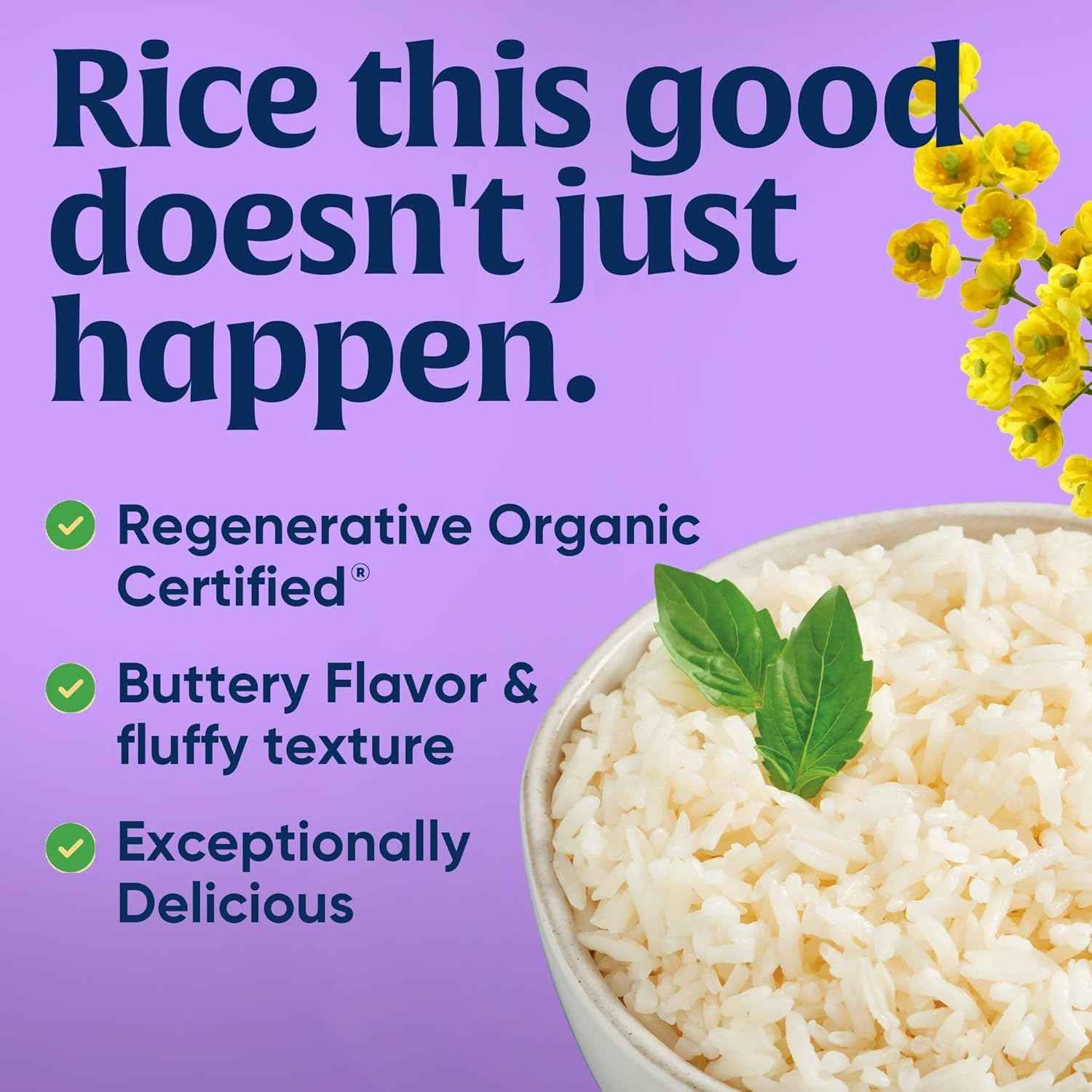 Lundberg Family Farms Organic Jasmine Rice – Clean Pantry Staple for Mindful Home Cooks, Non-GMO Everyday Side